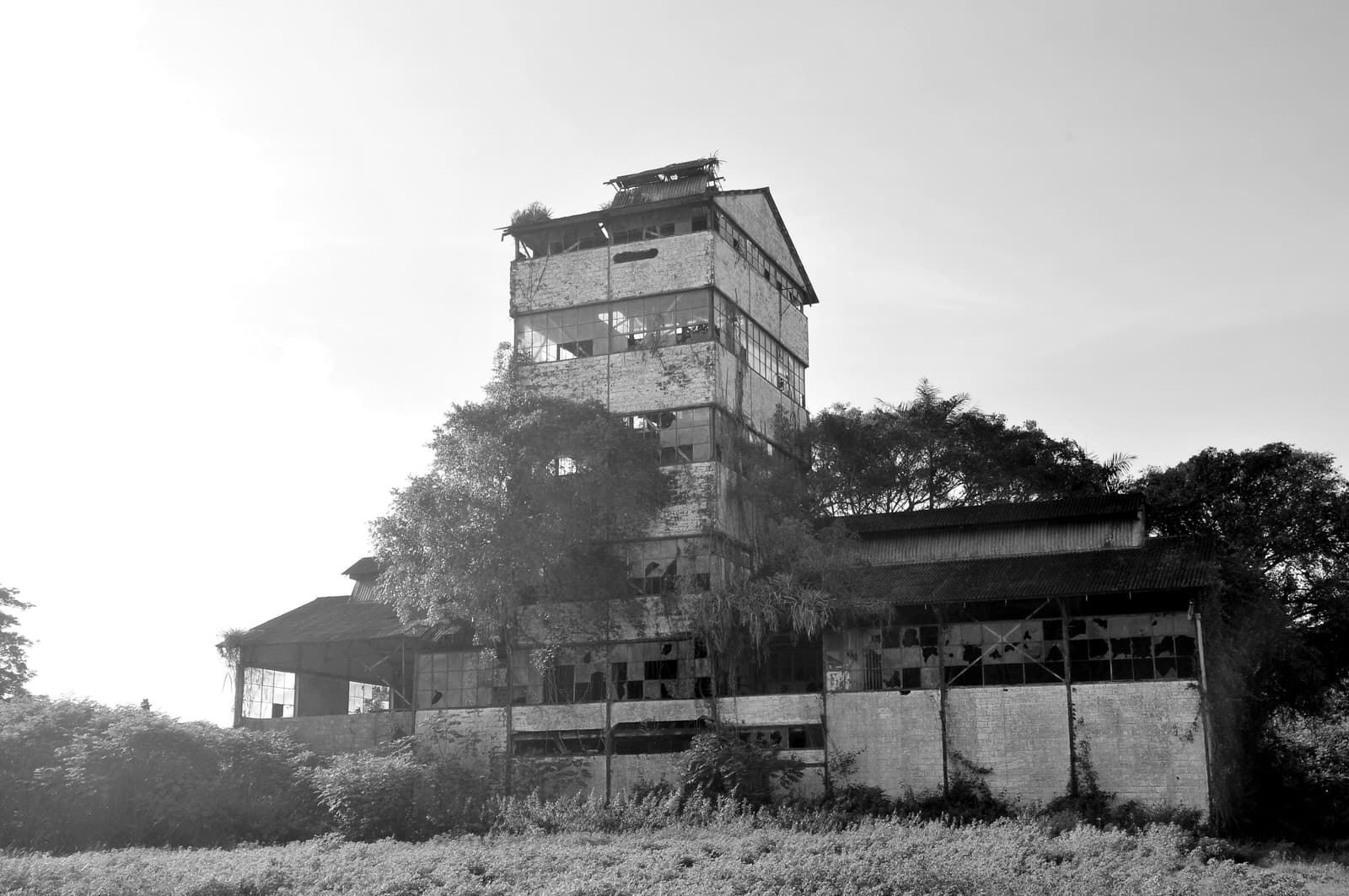 Die Ruine der Zuckerfabrik in Mariënburg