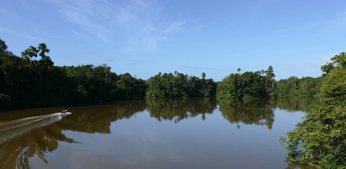 Der von Wald gesäumte Comté in Französisch-Guayana